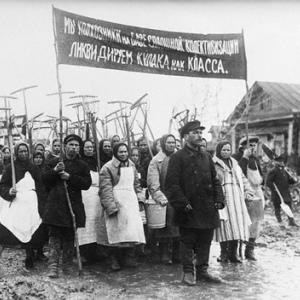 Женщинам Америки – о колхозных успехах: как отражалась официальная пропаганда в массовом сознании советских людей 1930-х годов