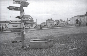 Северо-Запад РСФСР в период немецко-фашистской оккупации (1941–1944 годы)