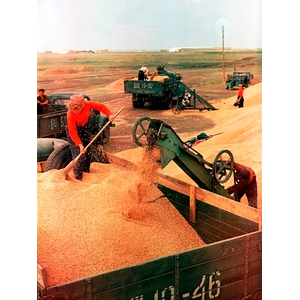 Качественные характеристики зерновых ресурсов РСФСР во второй половине 1950-х годов (докладные записки министра хлебопродуктов РСФСР в ЦК КПСС)