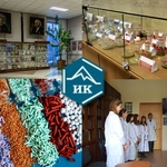 Музеефикация научного наследия новосибирской школы катализа