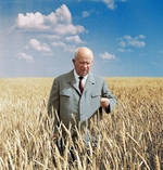 Освоение целинных и залежных земель: некоторые итоги изучения