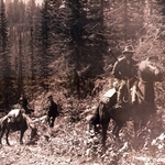 Имперские проекты в Сибири: провинциальное измерение