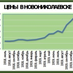 Рынок товаров Новониколаевска в условиях Гражданской войны (конец мая 1918 – середина декабря 1919 года)