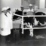 Развитие животноводства в Алтайском крае во второй половине 1980-х годов (объяснительная записка ветеринарного отдела агропромышленного комитета Алтайского края)