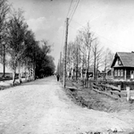 Особенности функционирования немецких колхозов на территории Северо-Запада РСФСР в 1930-е годы