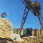 Китайские предприятия в лесной экономике Сибири: деловые практики и местное население