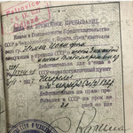 Военнопленные Первой мировой на новой родине: адаптационные практики