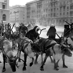 Урбанизация на севере Сибири: проблемы формирования городского населения и системы поселений в XX веке