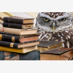 Редакционный совет